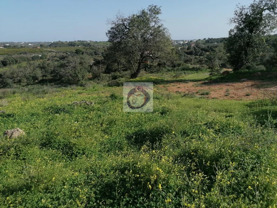 Quinta para Venda em Quelfes Foto 6