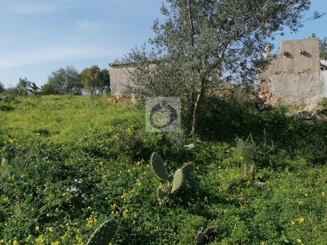 Quinta para Venda em Quelfes Foto 2