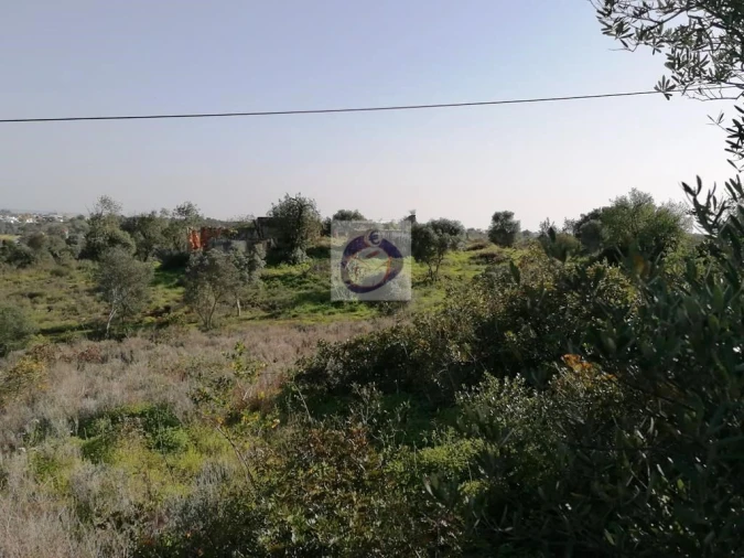 Quinta para Venda em Quelfes Foto 7