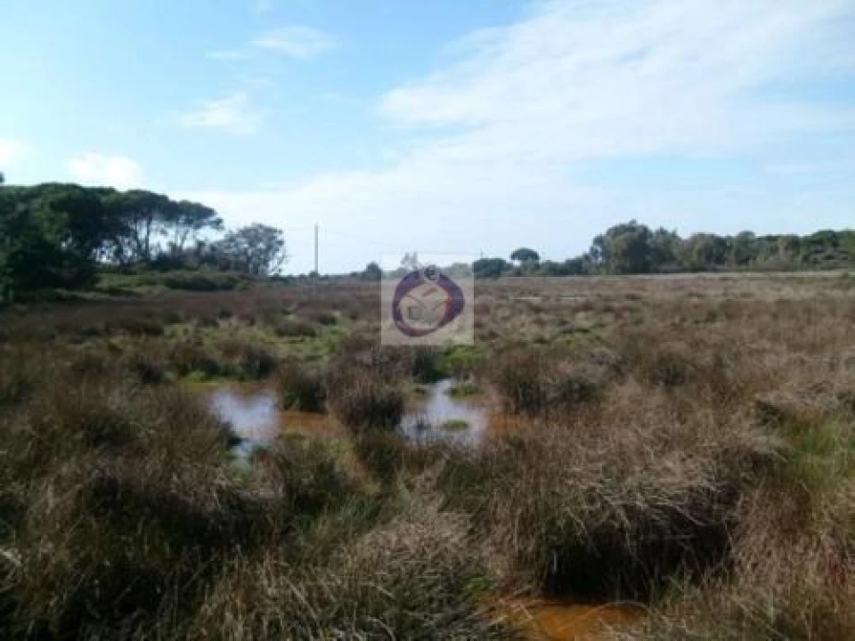 Quinta para Venda em Montenegro Foto 2