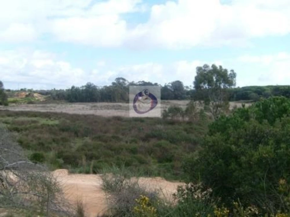 Quinta para Venda em Montenegro Foto 4