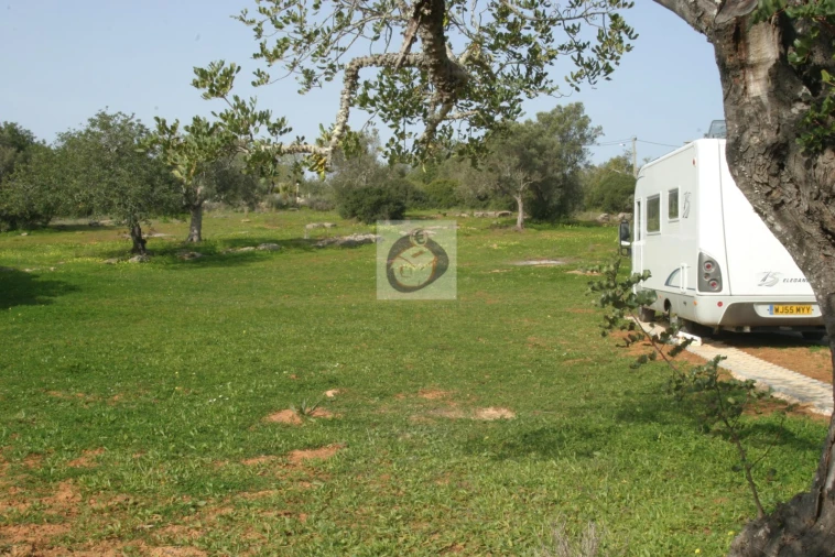Terreno Agricola ou Rústico para Venda em Quelfes Foto 2