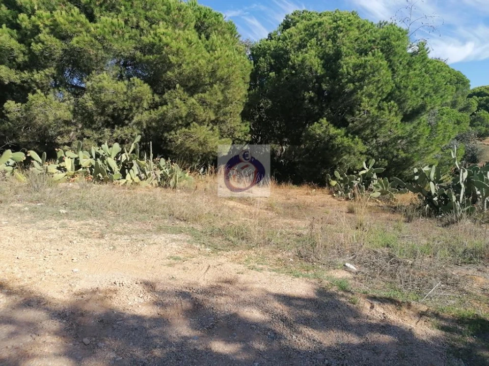 Terreno para Venda em Luz de Tavira e Santo Estêvão Foto 6