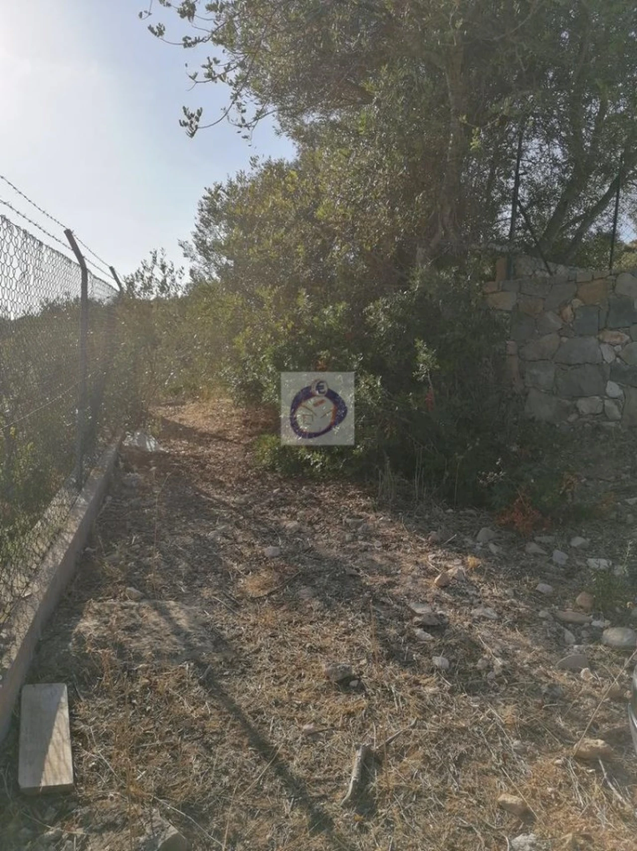 Terreno para Venda em Conceição e Estoi Foto 3