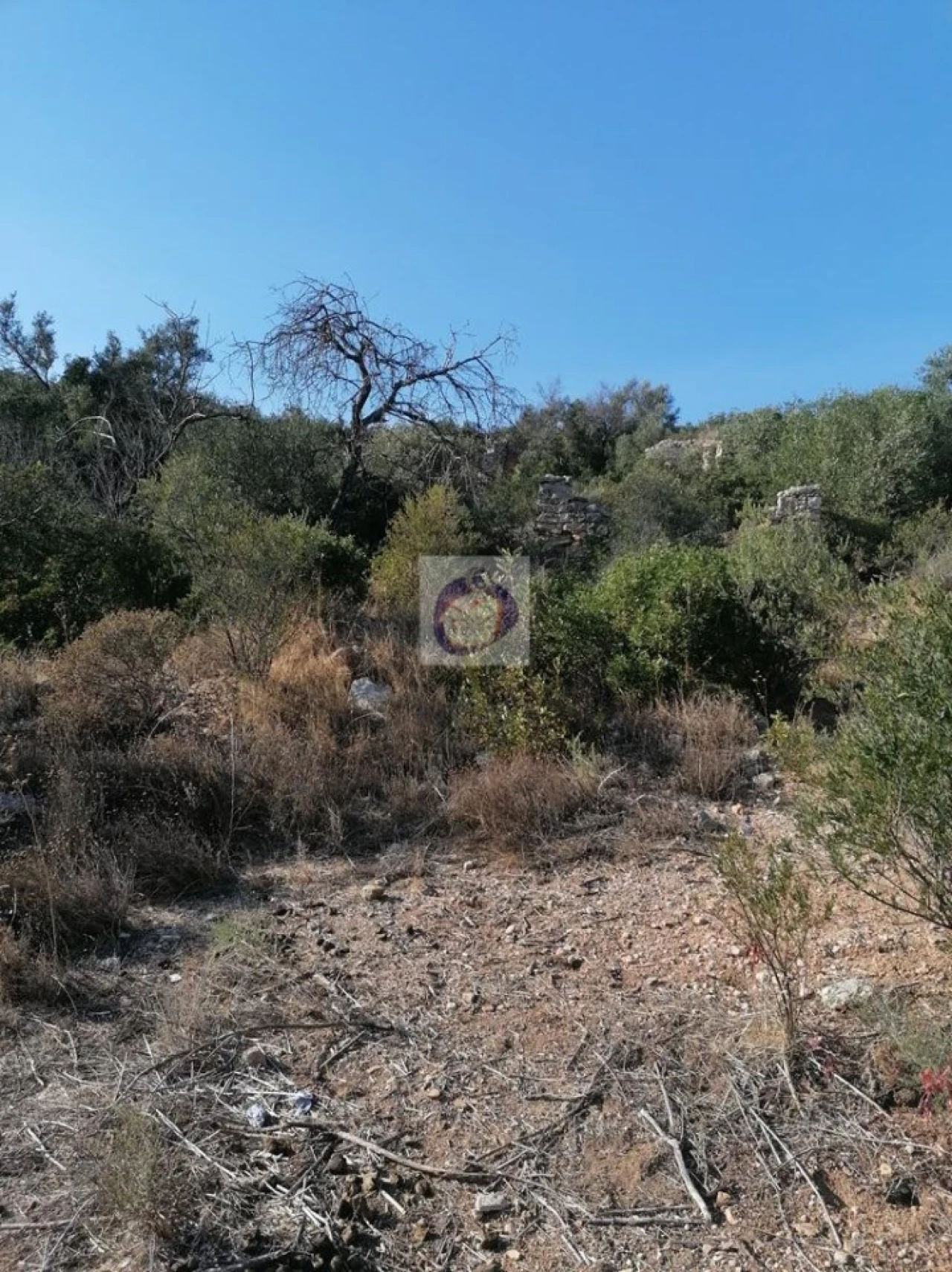 Terreno para Venda em Conceição e Estoi Foto 4
