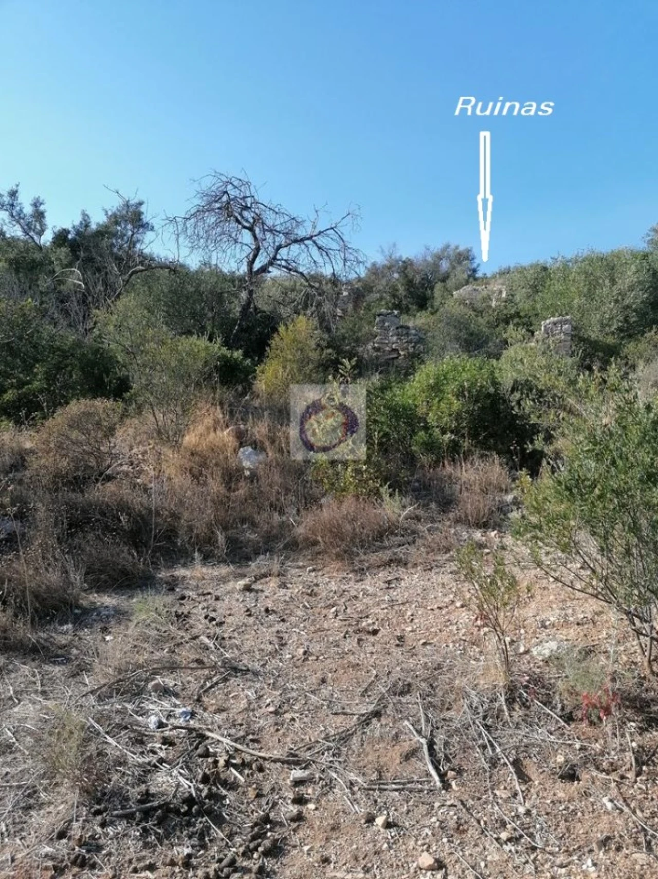 Terreno para Venda em Conceição e Estoi Foto 6