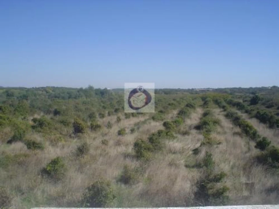 Quinta para Venda em Santa Catarina da Fonte do Bispo Foto 6