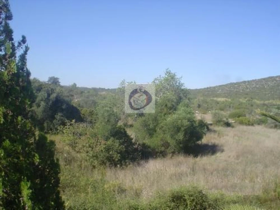 Quinta para Venda em Santa Catarina da Fonte do Bispo Foto 7