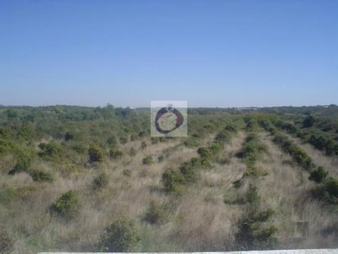 Quinta para Venda em Santa Catarina da Fonte do Bispo Foto 6