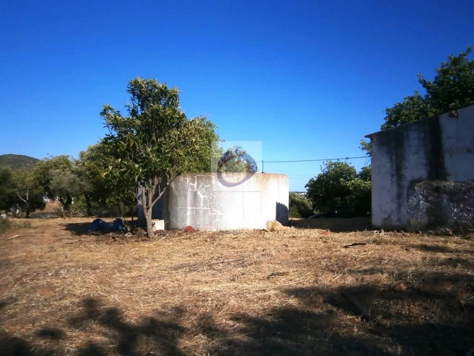 Quinta para Venda em Boliqueime Foto 5