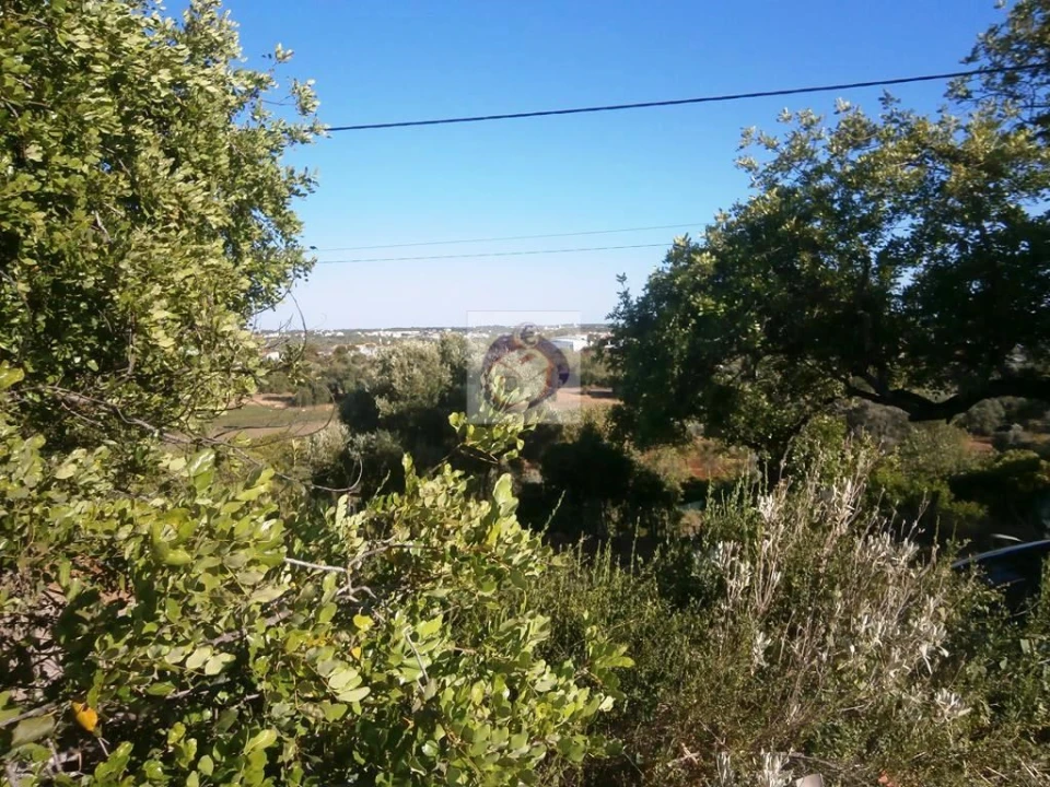 Quinta para Venda em Boliqueime Foto 6