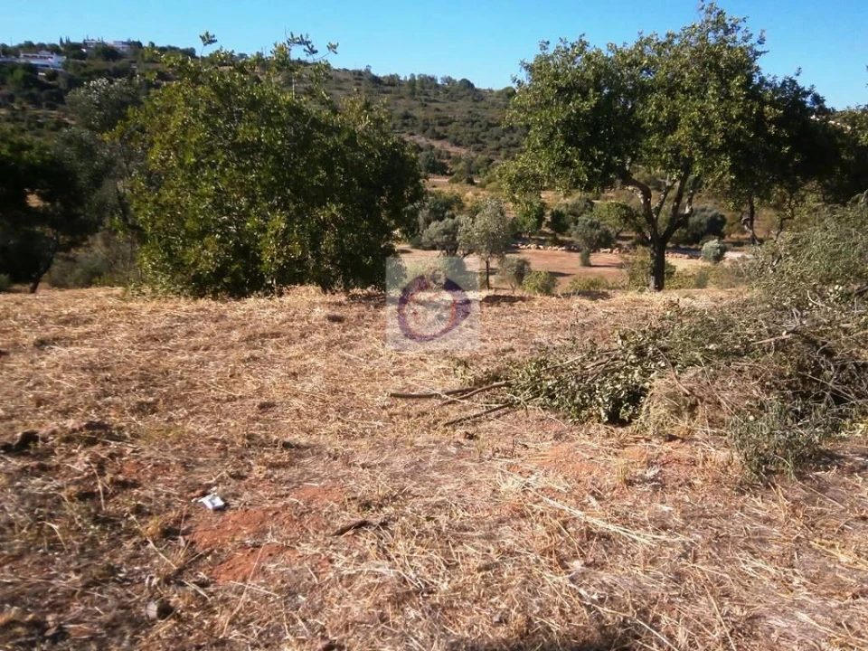 Quinta para Venda em Boliqueime Foto 9