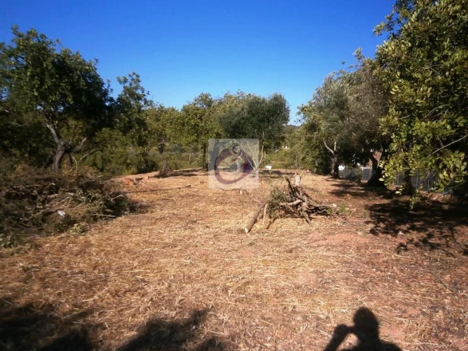Quinta para Venda em Boliqueime Foto 8