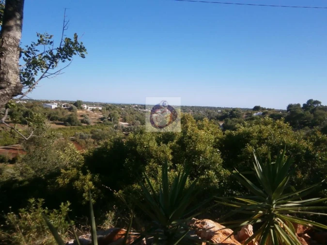 Quinta para Venda em Boliqueime Foto 10