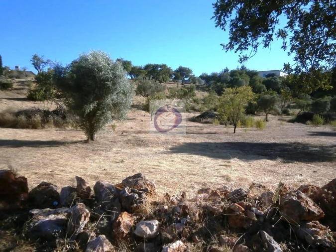 Quinta para Venda em Boliqueime Foto 11