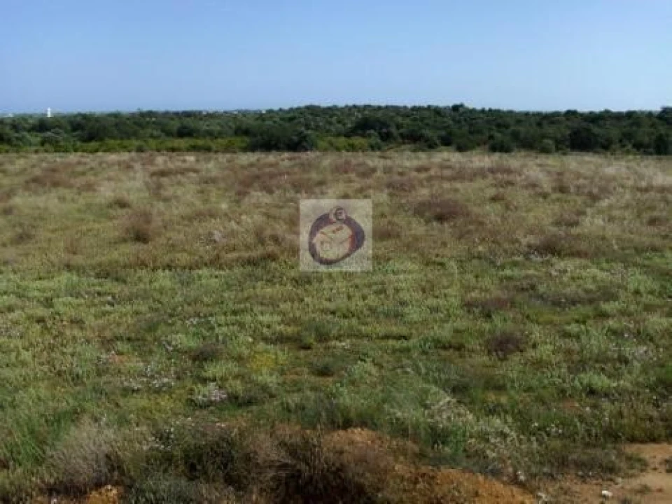 Terreno Agricola ou Rústico para Venda em Luz de Tavira e Santo Estêvão Foto 3