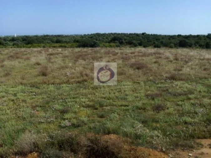 Terreno Agricola ou Rústico para Venda em Luz de Tavira e Santo Estêvão Foto 3