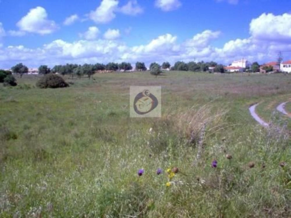 Terreno Agricola ou Rústico para Venda em Ferreiras Foto 1