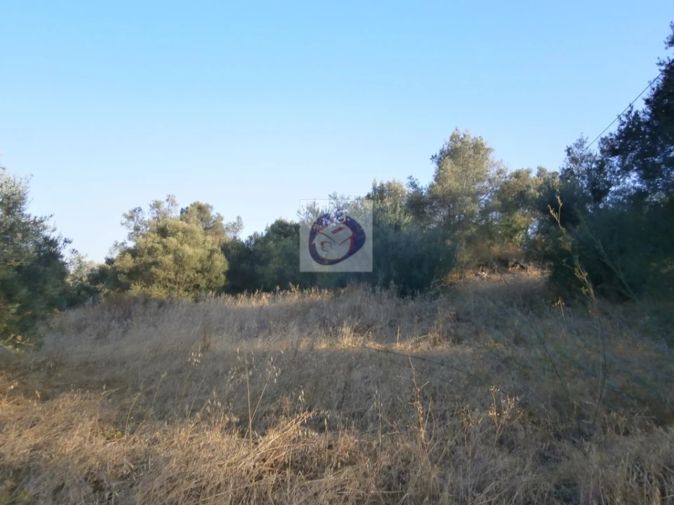 Terreno para Venda em Santa Catarina da Fonte do Bispo Foto 2