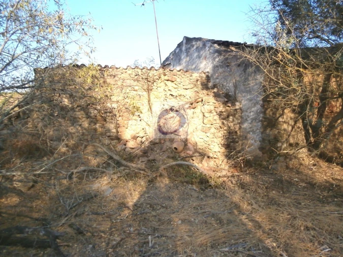 Terreno para Venda em Santa Catarina da Fonte do Bispo Foto 3