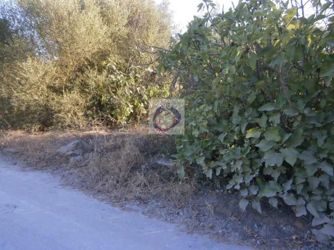 Terreno para Venda em Santa Catarina da Fonte do Bispo Foto 7