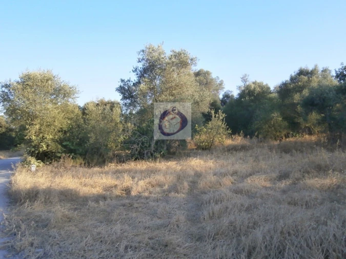 Terreno para Venda em Santa Catarina da Fonte do Bispo Foto 8
