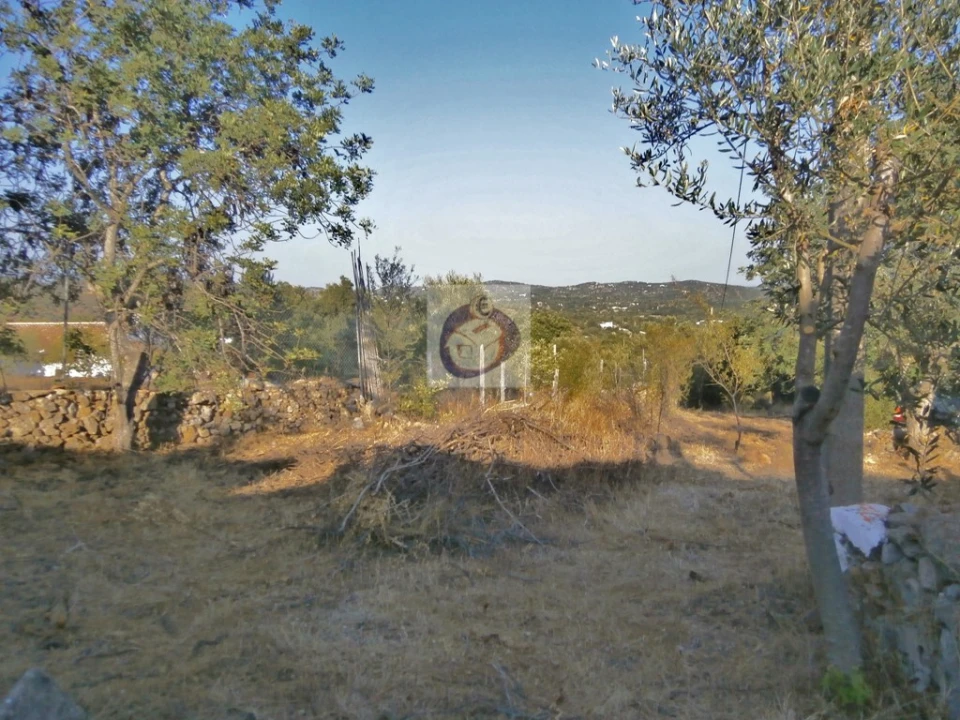Terreno para Venda em Santa Catarina da Fonte do Bispo Foto 9