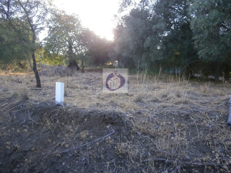 Terreno para Venda em Santa Catarina da Fonte do Bispo Foto 12