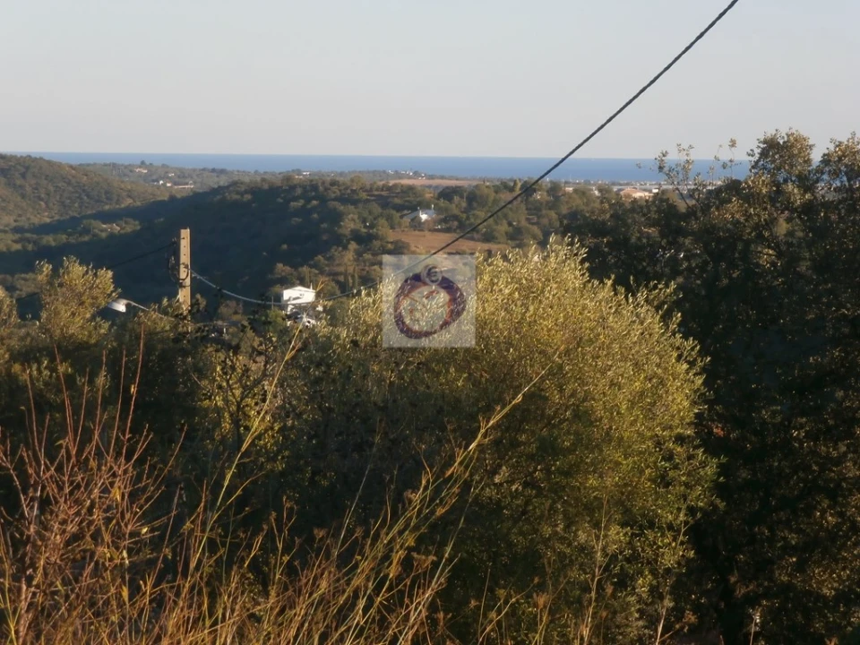 Terreno para Venda em Santa Catarina da Fonte do Bispo Foto 8
