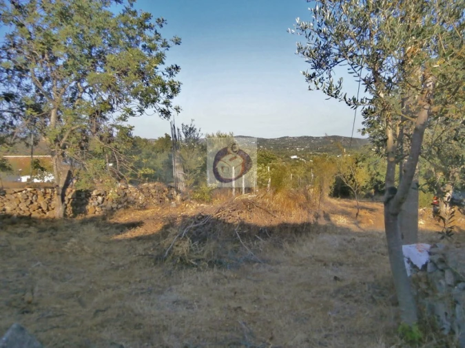Terreno para Venda em Santa Catarina da Fonte do Bispo Foto 9