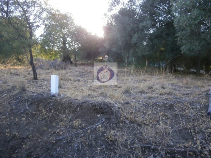 Terreno para Venda em Santa Catarina da Fonte do Bispo Foto 12