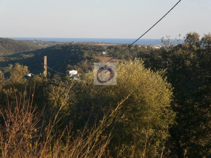 Terreno para Venda em Santa Catarina da Fonte do Bispo Foto 8