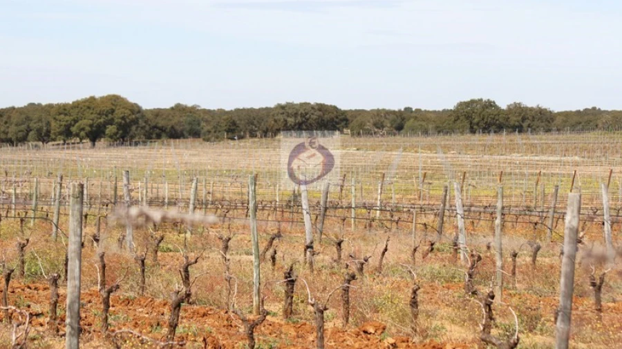 Quinta para Venda em Mourão