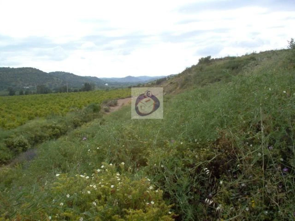 Terreno Misto para Venda em Tavira (Santa Maria e Santiago) Foto 2