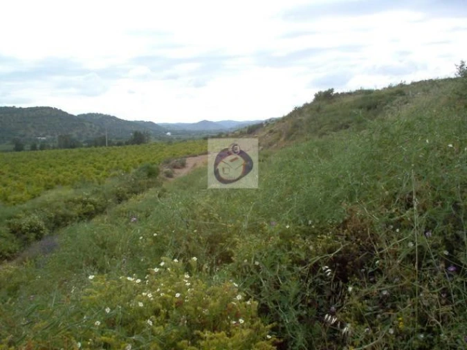 Terreno Misto para Venda em Tavira (Santa Maria e Santiago) Foto 2