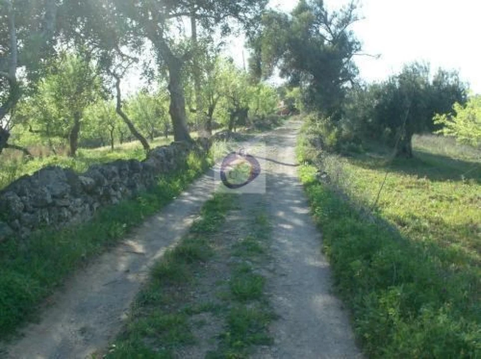Terreno para Venda em Santa Catarina da Fonte do Bispo Foto 4