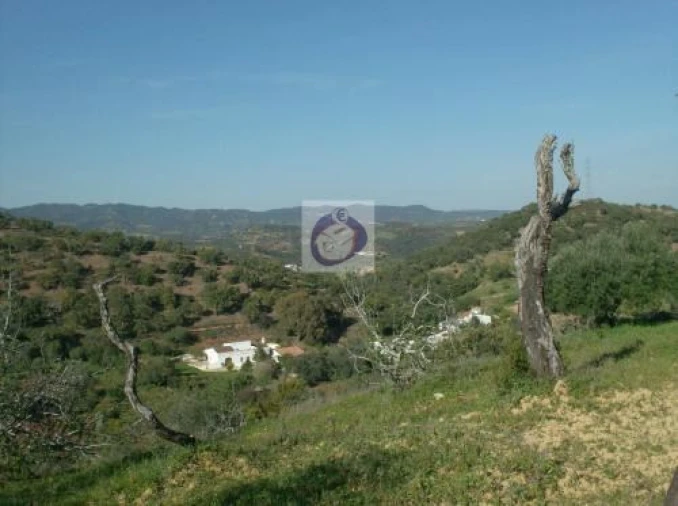 Terreno para Venda em Santa Catarina da Fonte do Bispo Foto 5
