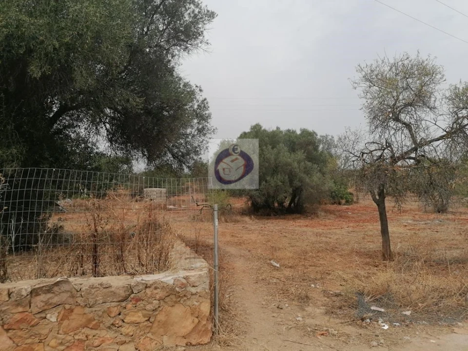 Terreno para Venda em Almancil Foto 2