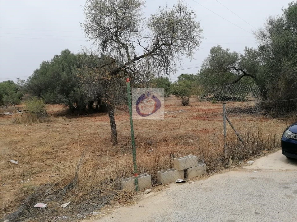 Terreno para Venda em Almancil Foto 5