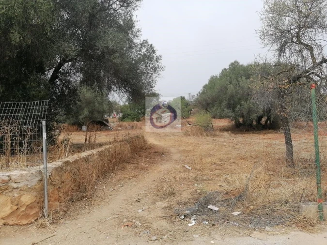 Terreno para Venda em Almancil Foto 3