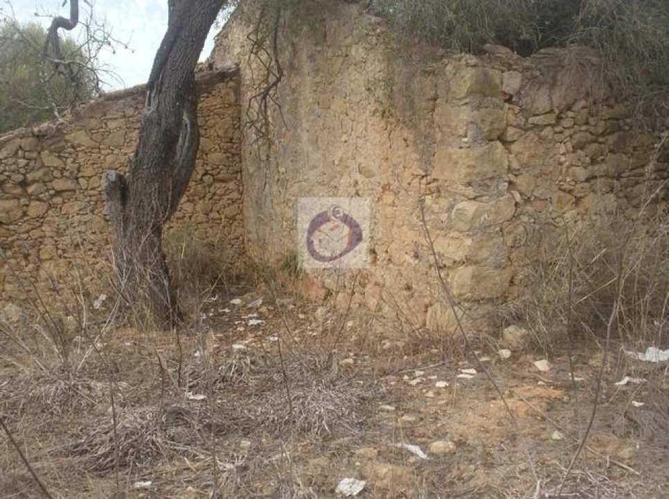 Terreno para Venda em Conceição e Estoi Foto 2