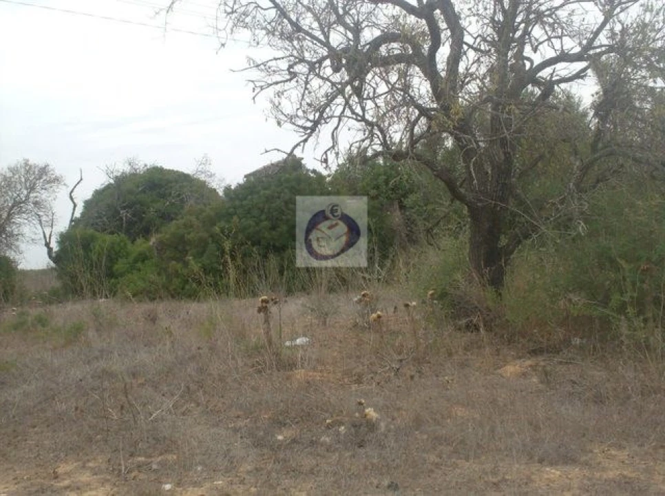 Terreno para Venda em Conceição e Estoi Foto 6