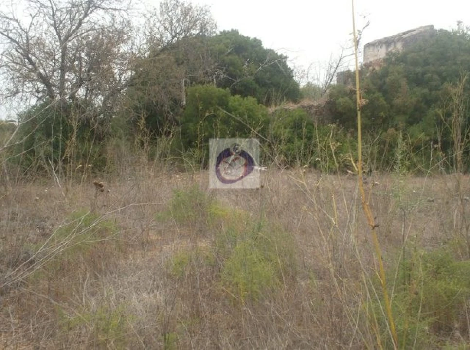 Terreno para Venda em Conceição e Estoi Foto 8