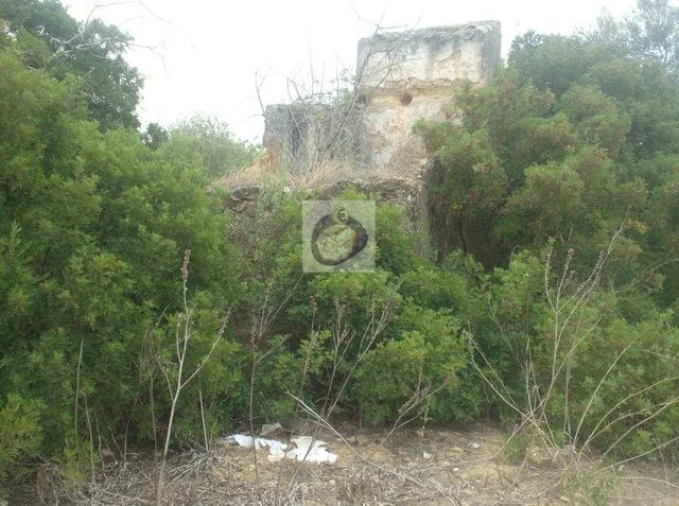 Terreno para Venda em Conceição e Estoi Foto 1