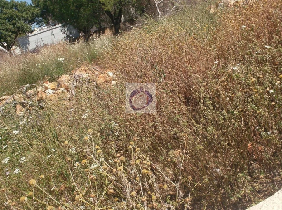 Terreno para Venda em Moncarapacho e Fuseta Foto 2