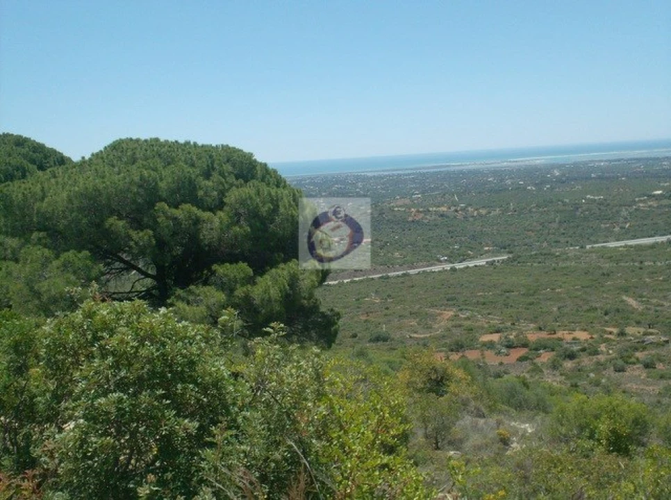 Terreno Agricola ou Rústico para Venda em Moncarapacho e Fuseta Foto 1