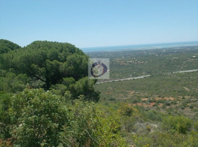 Terreno Agricola ou Rústico para Venda em Moncarapacho e Fuseta Foto 1