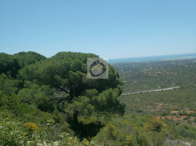 Terreno Agricola ou Rústico para Venda em Moncarapacho e Fuseta Foto 2