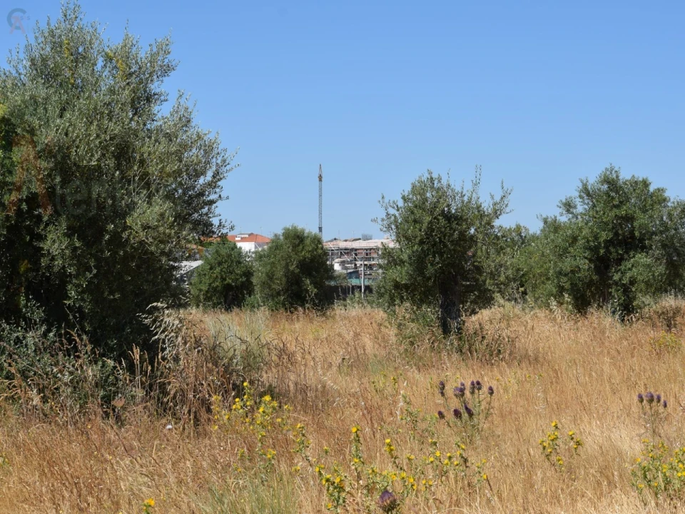 Terreno Agricola ou Rústico para Venda em Caia, São Pedro e Alcáçova Foto 11