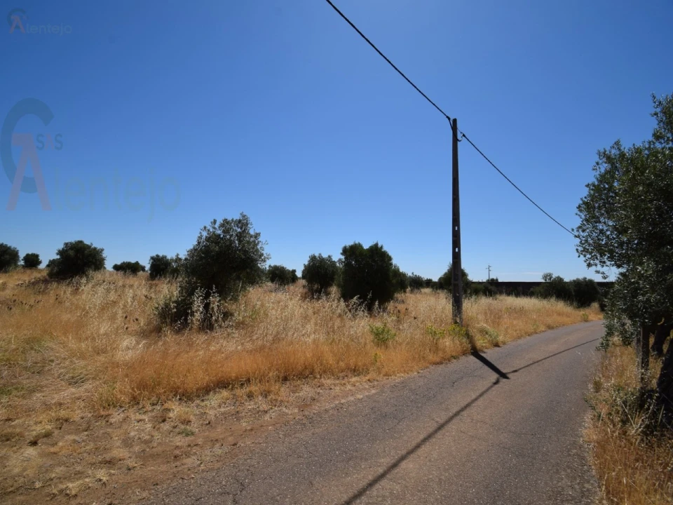Terreno Agricola ou Rústico para Venda em Caia, São Pedro e Alcáçova Foto 15